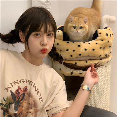 昌都伴游女生星晓莉的资料